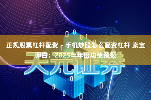 正规股票杠杆配资 - 手机炒股怎么配资杠杆 索宝卵白：2025年年度功绩预报